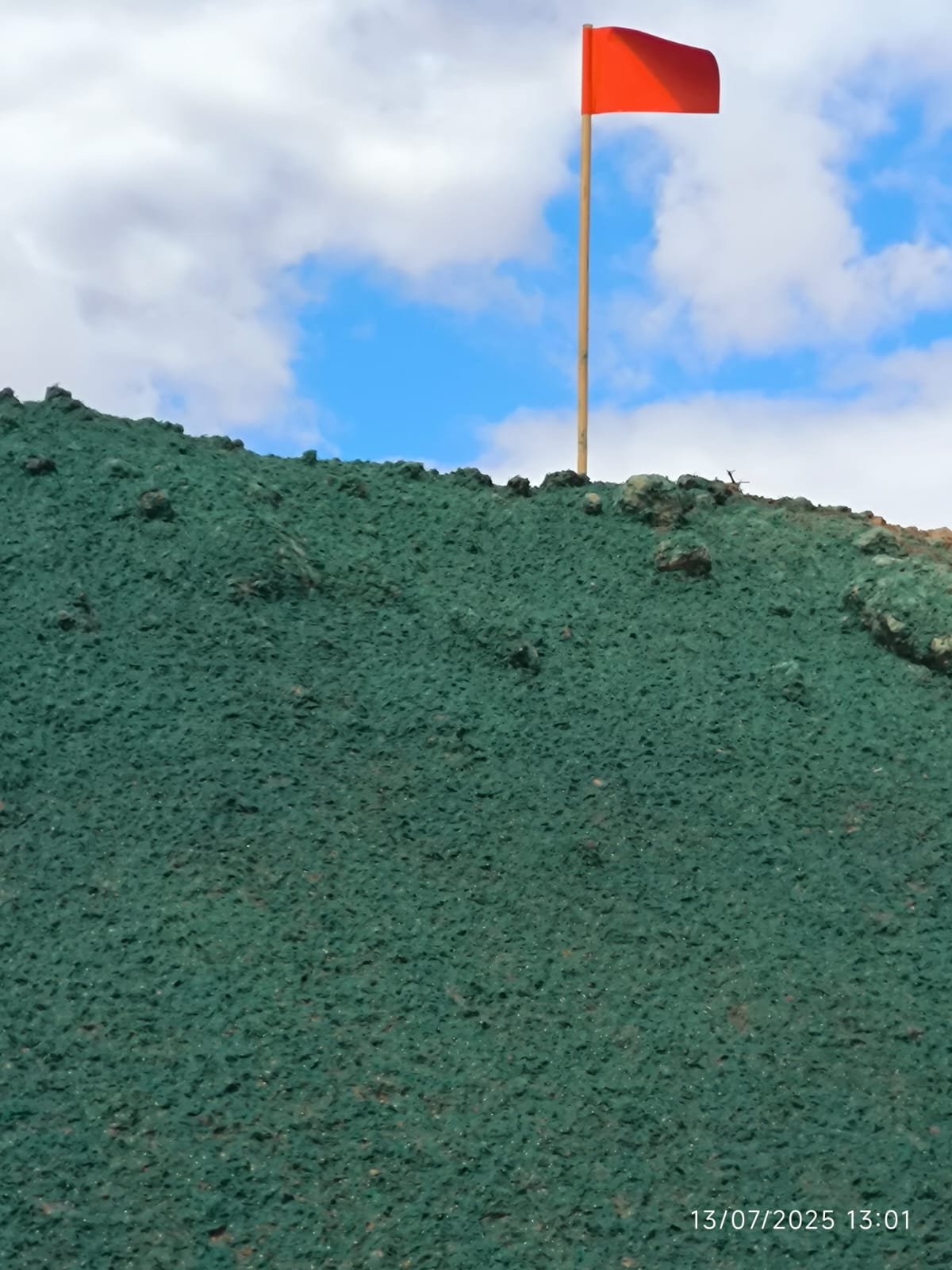 Terreno recebendo sementes