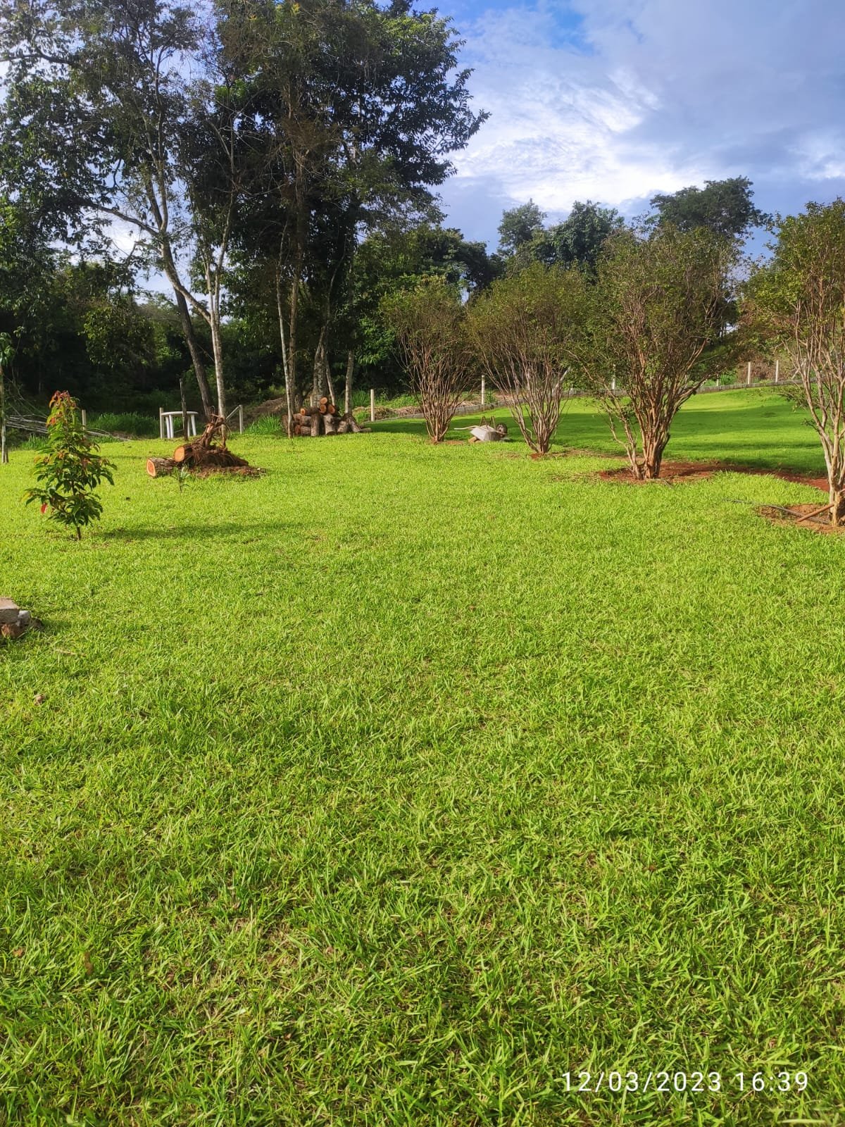 Terreno Verde